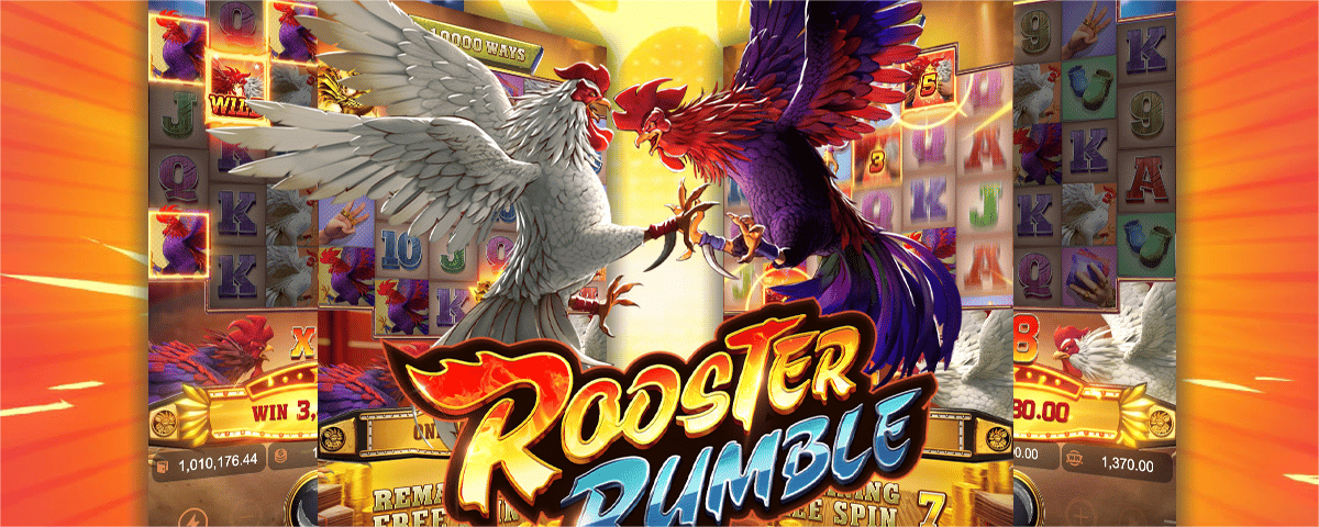 🐧🌱Rooster Rumble🦉 ☘️